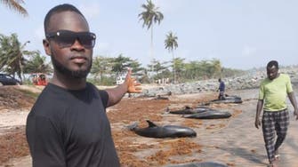 مشاهد مؤثرة.. دلافين نافقة على شواطئ غانا!