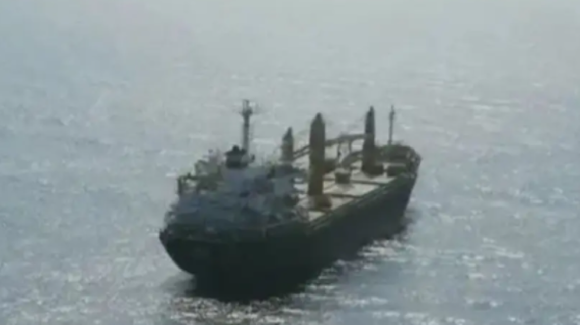السفينة الإيرانية سافيز (العربية نت)