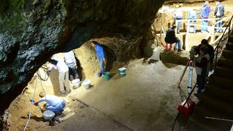 Bulgarian cave remains reveal surprises about earliest Homo sapiens in Europe 