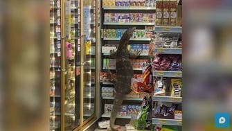 ویدیو؛ حمله مارمولک غول‎‌پیکر به سوپرمارکت 