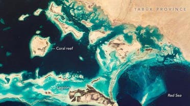 الصورة التي التقطتها ناسا للجزر السعودية 