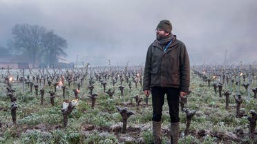 Winegrower Pierre-Marie Luneau checks vines during the burning of anti-frost candles in the Luneau-Papin wine vineyard in western France, April 12, 2021. (AFP)