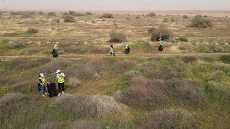 Saudi Arabia arrests environmental violators for cutting down trees