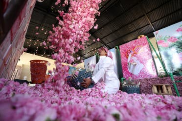 A worker at the Bin Salman farm tosses freshly picked Damascena (Damask) roses in the air, used to produce rose water and oil, in the western Saudi city of Taif, on April 11, 2021.