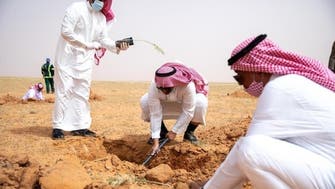 زراعة 100 ألف شتلة في محمية الملك عبدالعزيز