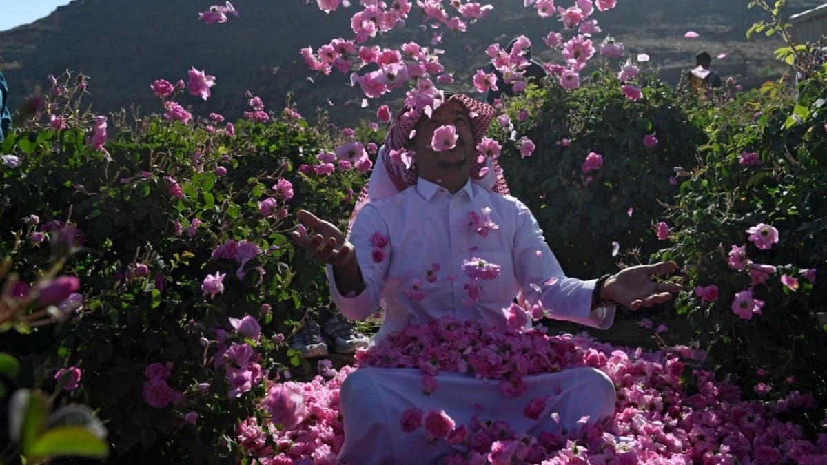 Saudi Arabia's city of roses blooms in Ramadan