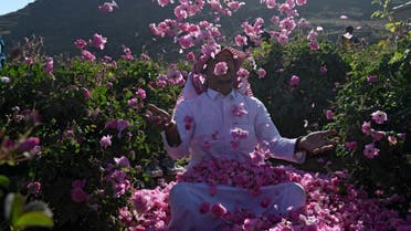 Salman, a member of the Bin Salman family, throws roses into the air at the family's farm in the Saudi city of Taif on March 13, 2021. (AFP)