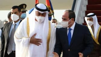تنسيق إماراتي مصري لحماية الأمن العربي ومواجهة التدخلات