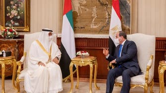 UAE, Egypt leaders discuss latest regional developments during official Cairo visit