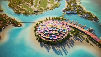 مشروع البحر الأحمر يضمن اعتماد "التمويل الأخضر" لإرساء السياحة المتجددة