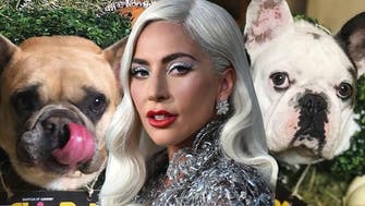 بازداشت سارقان سگ‌های «لیدی گاگا» ستاره موسیقی آمريكا