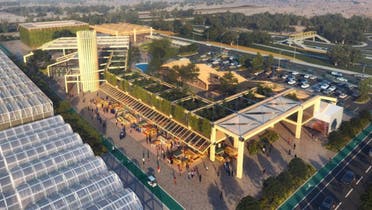 Dubai will build a new business park to host specialized agricultural firms as the Middle East’s business hub pushes for food security. (Twitter)