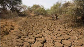 خسارت 67 هزار میلیارد تومانی بخش کشاورزی ایران از خشکسالی