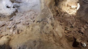 Fossil remains of nine Neanderthals found in Italian cave