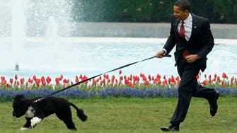 Former US President Obama’s family dog Bo has died 