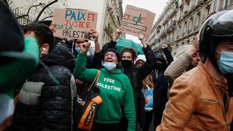 Palestine march in Paris defies ban, is met by tear gas