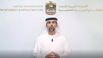 وزير الطاقة الإماراتي: ندعم بشدة الإجماع على القرار في إطار أوبك+ 