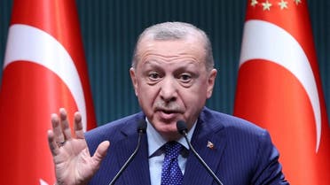 الرئيس التركي رجب طيب أردوغان - فرانس برس