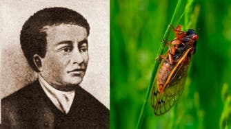 منذ 221 عاماً.. عالم إفريقي وصف حشرات تهدد أميركا اليوم
