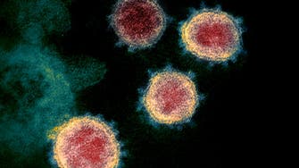 Israel reports subvariant of delta coronavirus strain