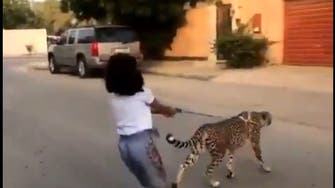 سعودی عرب: بچی کی چیتے کے ساتھ  گھومنے کی ویڈیو وائرل
