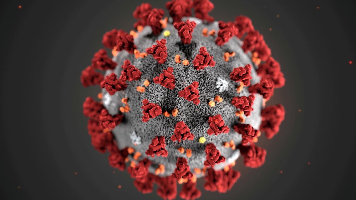 The ultrastructural morphology exhibited by the 2019 Novel Coronavirus (2019-nCoV), which was identified as the cause of an outbreak of respiratory illness first detected in Wuhan, China, is seen in an illustration released by the Centers for Disease Control and Prevention (CDC) in Atlanta, Georgia, US January 29, 2020. (File photo: Reuters)