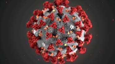 An illustration of the novel coronavirus released by the Centers for Disease Control and Prevention (CDC) in Atlanta, Georgia, US January 29, 2020. (File photo: Reuters)