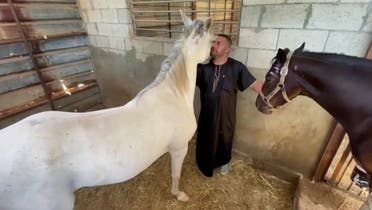 Owner of stable Omar Shahin with his horses, Gaza City, Gaza, May 24, 2021. (Reuters)