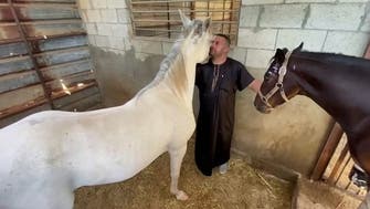 As Gaza truce holds, Palestinians treat animals wounded in Israel-Hamas violence