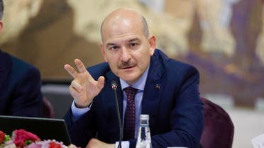 Turkish Interior Minister Suleyman Soylu speaks during a news conference in Istanbul, Turkey, August 21, 2019. (Ahmet Bolat/Pool via Reuters)