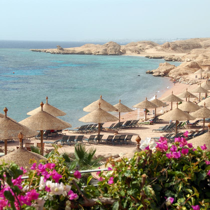 وزارة السياحة المصرية تكشف خطة الدولة لتعويض السياح الروس