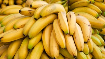أيهما أفضل الموز الأخضر أم الأصفر؟.. خبراء ينصحون