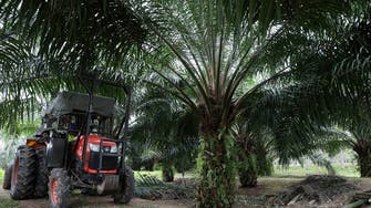 WTO sets up expert panel to resolve Malaysia-EU palm oil row