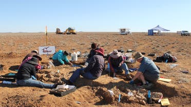 This handout picture taken by Rochelle Lawrence on May 23, 2015 and released by The Eromanga Natural History Museum shows researchers digging for dinosaur fossils in Cooper Creek, the area near the town of Eromanga, in western Queensland where the fossils were discovered in 2007. A gigantic dinosaur discovered in Australia's outback has been identified as a new species and recognised as one of the largest to ever roam the Earth, according to palaeontologists on June 7, 2021. (File photo: AFP)