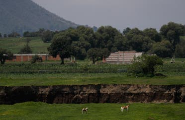 Dogs walk near a water filled sinkhole in Zacatapec, on the outskirts of Puebla, Mexico, Wednesday, June 9, 2021. (AP)