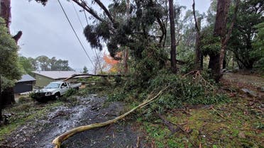 Wild weather in southeast Australia toppled trees, trapping people in cars and houses and cutting power to more than 200,000 homes as many braced for flooding. (Twitter)