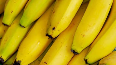 A stock image of bananas. (Pixabay)