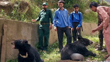 Students and residents play with a pair of Asian black bears, rescued a year ago near the Line of Control (LoC), at the Wildlife and Fisheries department in a Dawarian village in Neelum Valley, Pakistan-administrated Kashmir, June 12, 2021. Picture taken June 12, 2021. (Reuters)