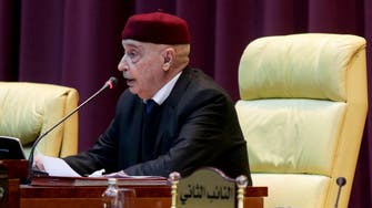 Libya parliament adopts law on legislative elections