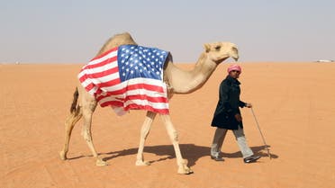 American invests in Saudi camels beauty contest American Hassan Joseph, walks with his camel, Victoria before its participation in the King Abdulaziz Camel Festival in southern Sayahid, Saudi Arabia, December 22, 2020. (File photo: Reuters)
