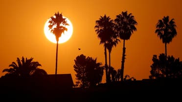 The morning sun rises over a neighborhood as a heatwave continues during the outbreak of the coronavirus disease (COVID-19) in Encinitas, California, U.S., August 19, 2020. (Reuters)