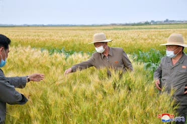 مسؤول كوري شمالي يزور أحد الحقول الزراعية (رويترز)