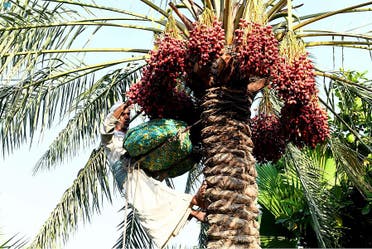 من واس