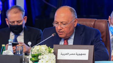وزير الخارجية المصري سامح شكري (أرشيفية- فرانس برس)