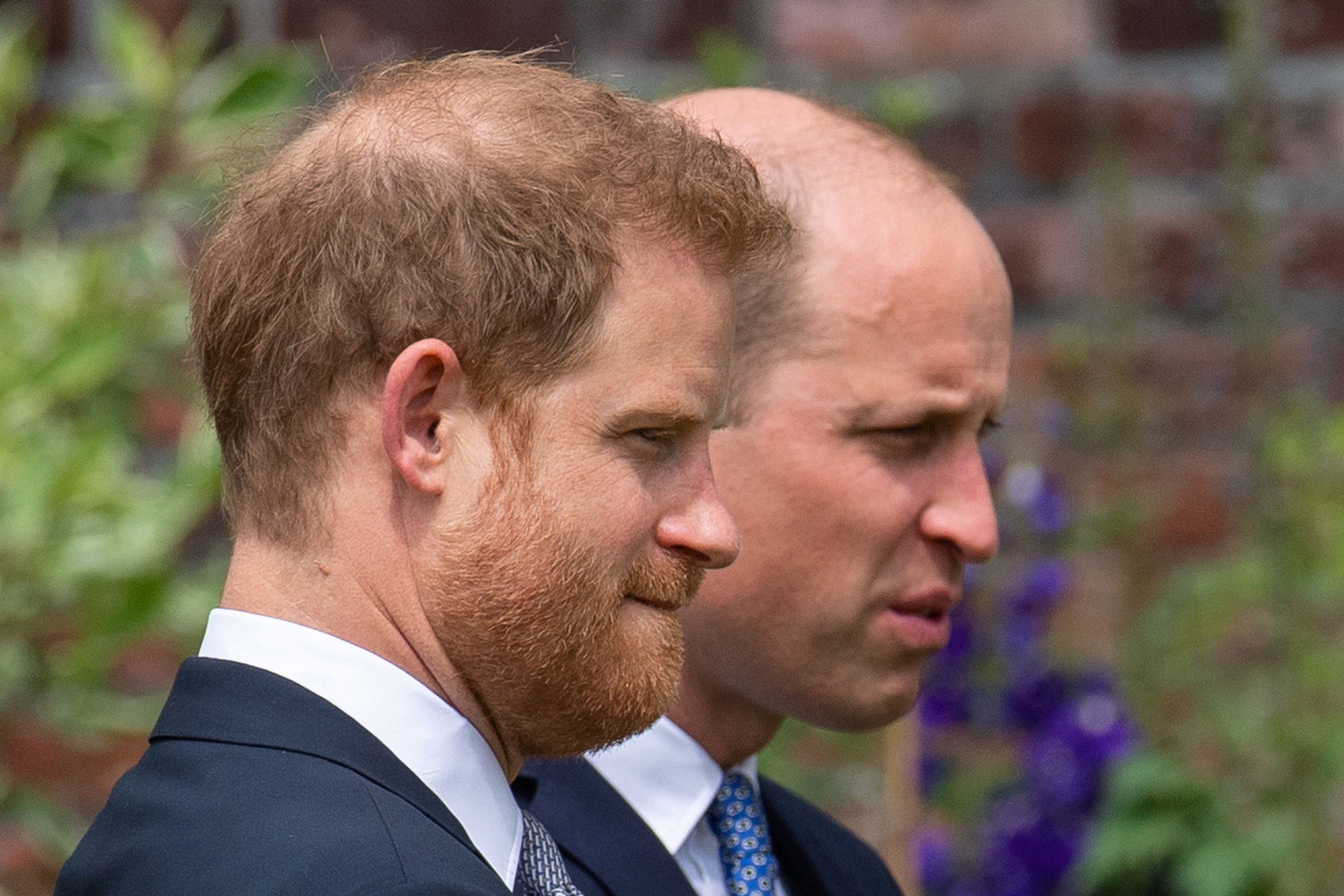 Princes William and Harry at the unveiling of the statue of Princess Diana