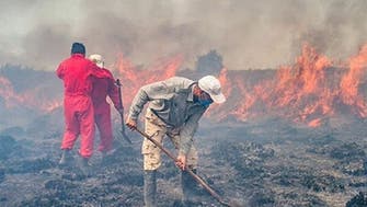 بیش از 100 هکتار از زمین‌های جنگل میانکاله در آتش سوخت
