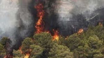 ادامه آتش‌سوزی جنگل‌های مریوان؛ ممانعت هنگ مرزی از حضور داوطلبان مردمی