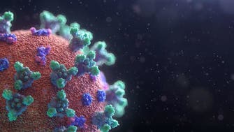 UAE scientists create COVID-19 antibody test for animals
