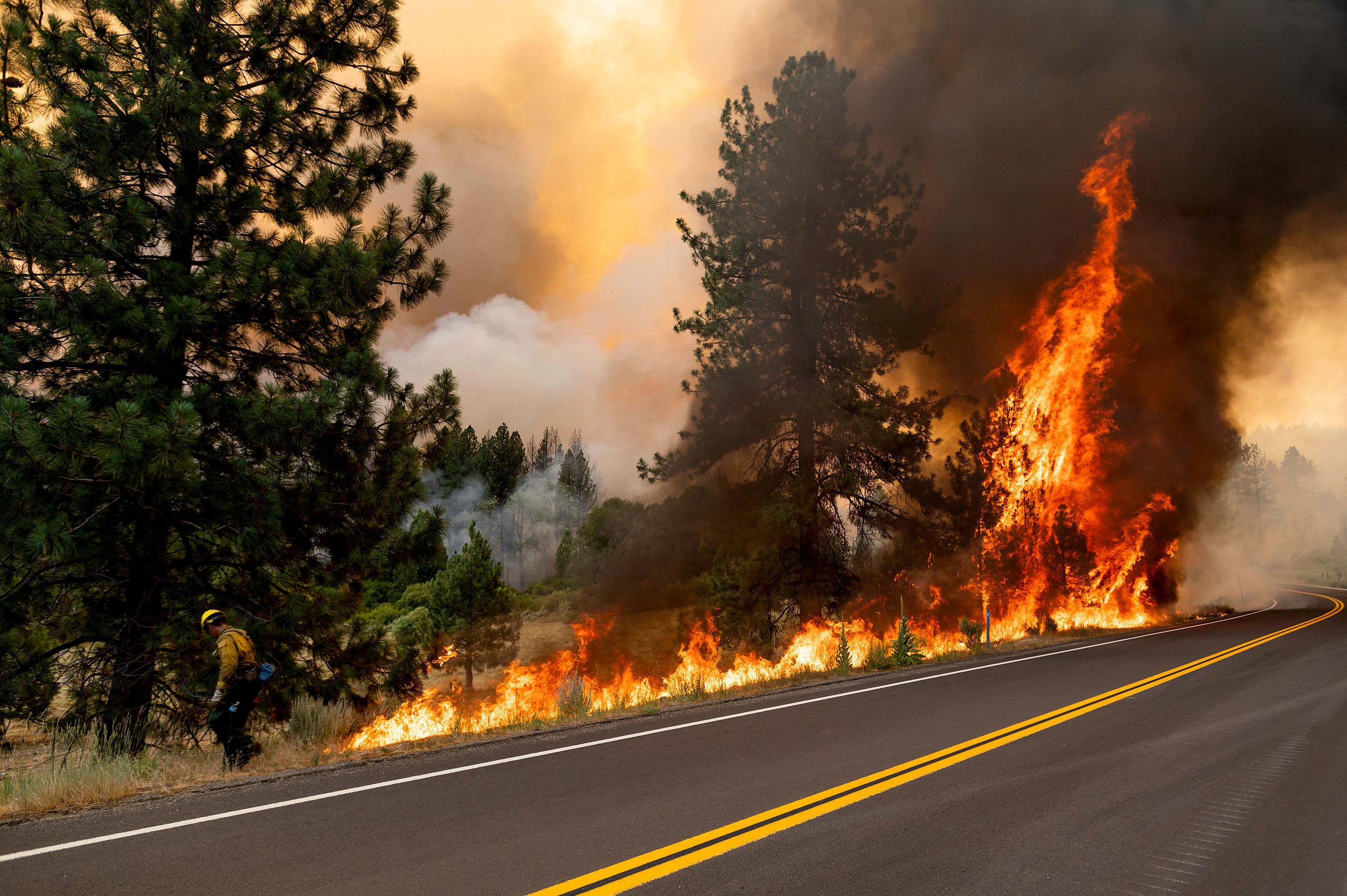 A firefighter burns vegetation while trying to stop the Sugar Fire, part of the Beckwourth Complex Fire, from spreading in Plumas National Forest, California, on Friday, July 9, 2021. (AP)