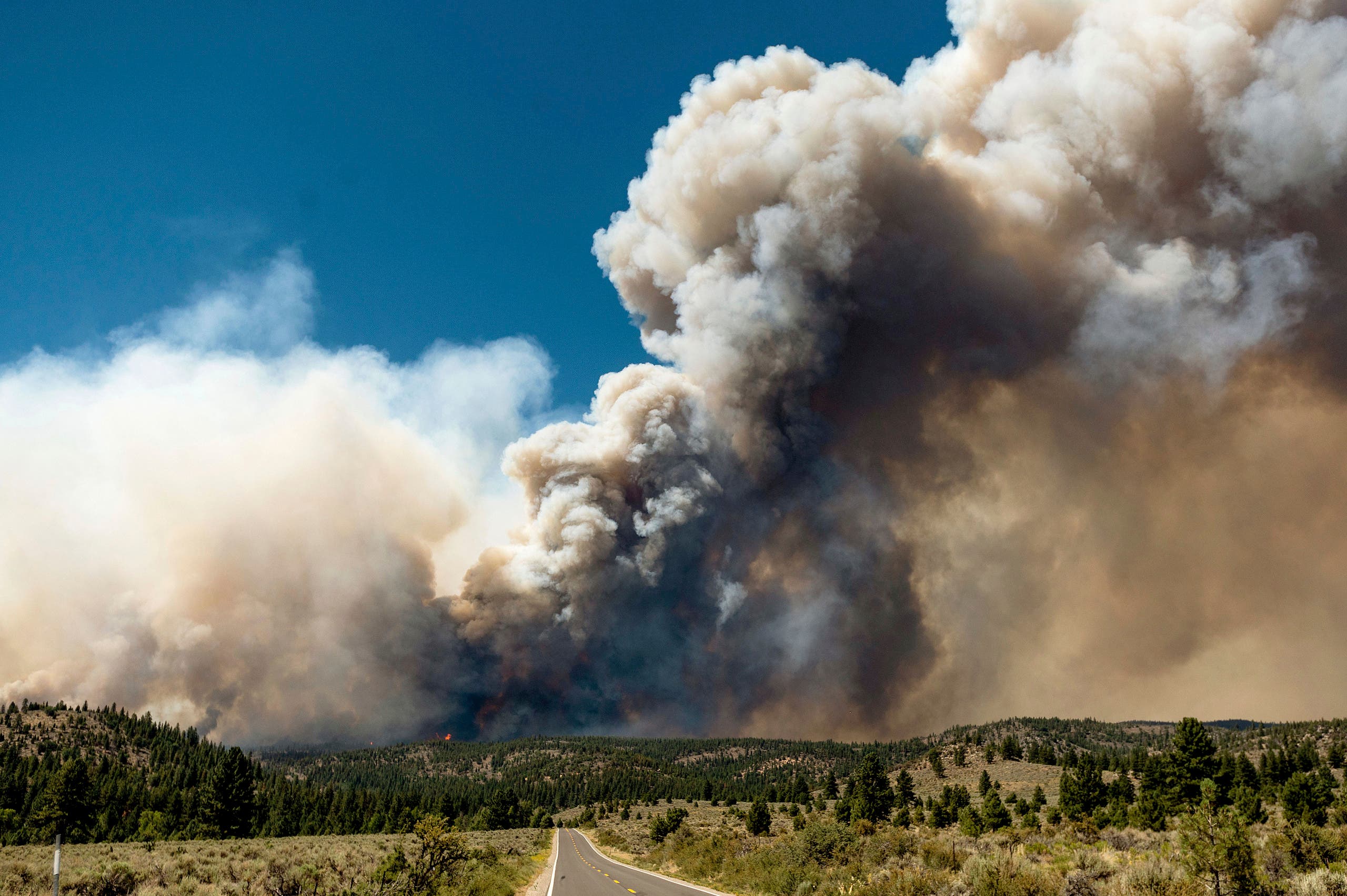A plume of smoke rises from the Sugar Fire, part of the Beckwourth Complex Fire, burning in Plumas National Forest, Calif., on Thursday, July 8, 2021. (AP)